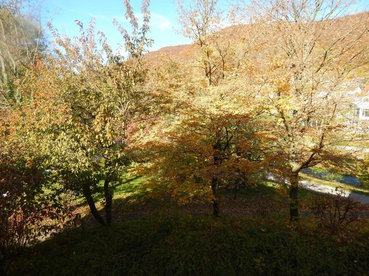Free Apartment - Bei Den Thermen Bad Urach Exterior foto